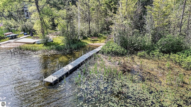 10085 Harmony Dr, Interlochen, MI 49643 - dock featuring a water view