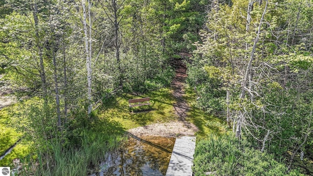 10085 Harmony Dr, Interlochen, MI 49643 - view of nature