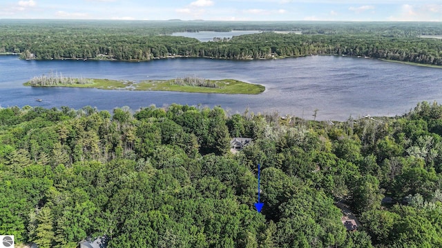10085 Harmony Dr, Interlochen, MI 49643 - view of property location featuring a heavily wooded area and a large body of water