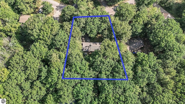 10085 Harmony Dr, Interlochen, MI 49643 - aerial view of property's location with property boundaries highlighted