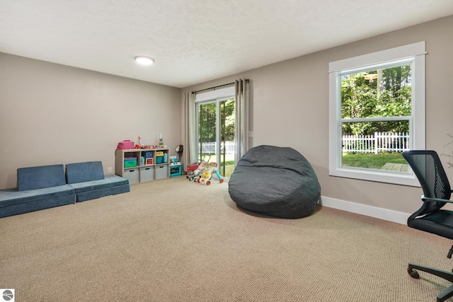 8315 Aimee Ln, Lake Ann, MI 49650 - game room with carpet and plenty of natural light