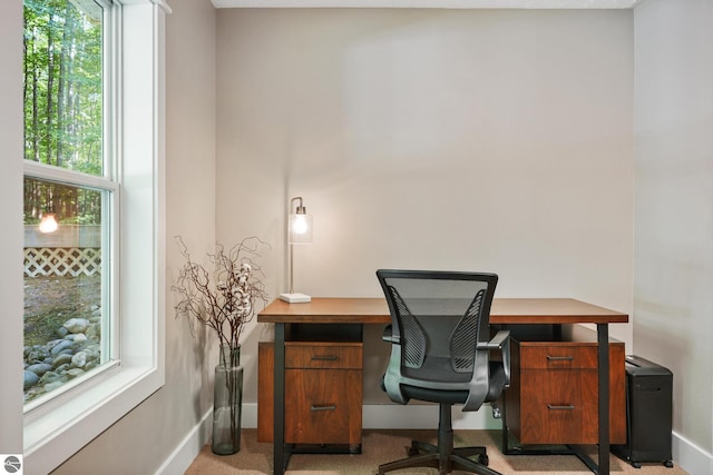 8315 Aimee Ln, Lake Ann, MI 49650 - office area with baseboards and light carpet