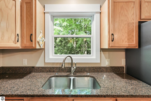 8315 Aimee Ln, Lake Ann, MI 49650 - kitchen featuring a sink and dark stone counters