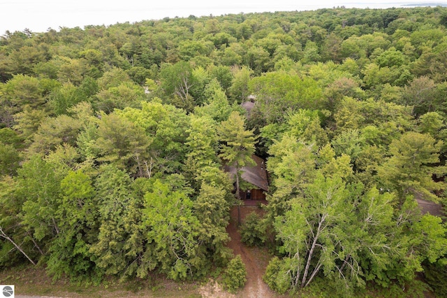 15910 E Cherry Park Dr, Northport, MI 49670 - drone / aerial view of a heavily wooded area
