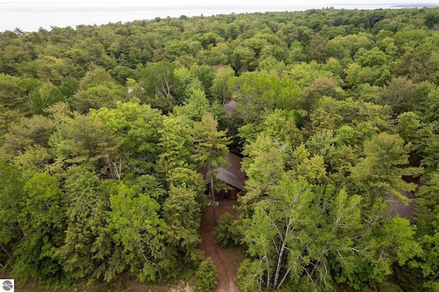 15910 E Cherry Park Dr, Northport, MI 49670 - view of subject property featuring a forest
