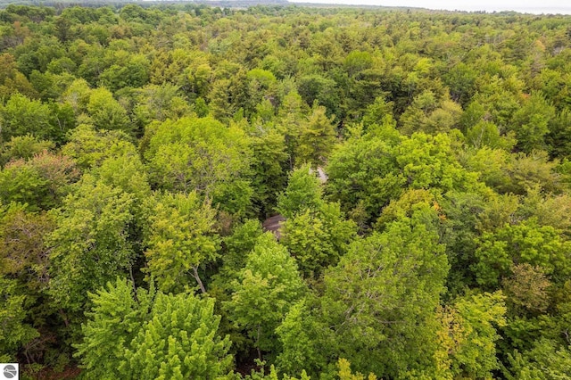 15910 E Cherry Park Dr, Northport, MI 49670 - bird's eye view of a forest