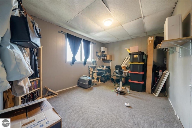 100 S Bullock St, Whittemore, MI 48770 - miscellaneous room with carpet floors and a drop ceiling