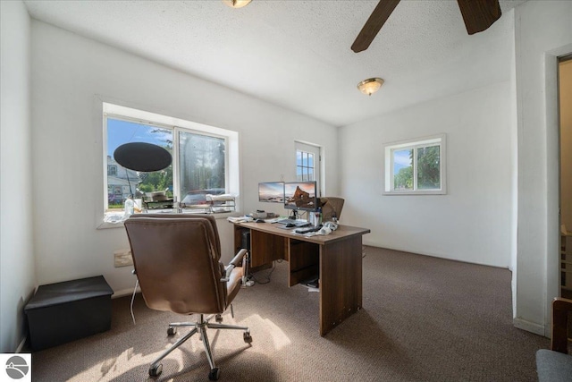 100 S Bullock St, Whittemore, MI 48770 - carpeted home office featuring ceiling fan and a textured ceiling