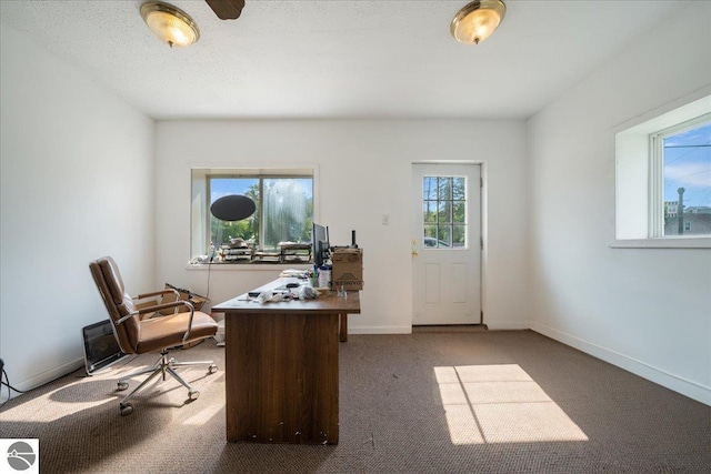 100 S Bullock St, Whittemore, MI 48770 - carpeted home office featuring plenty of natural light