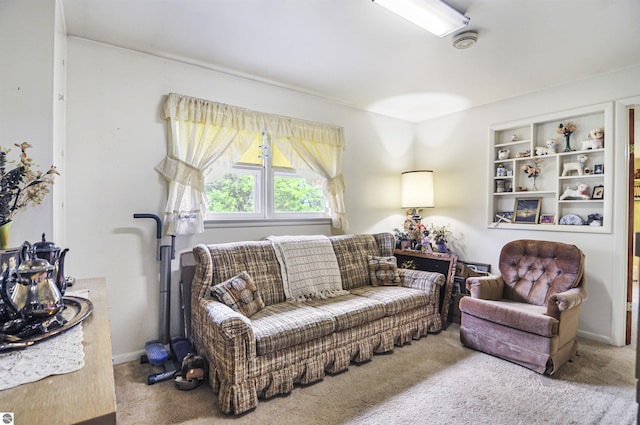 611 Sunset Ln, Cadillac, MI 49601 - view of carpeted living room