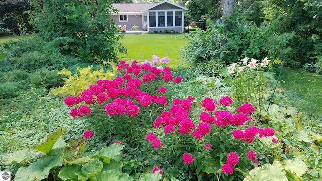 611 Sunset Ln, Cadillac, MI 49601 - view of green lawn featuring a sunroom