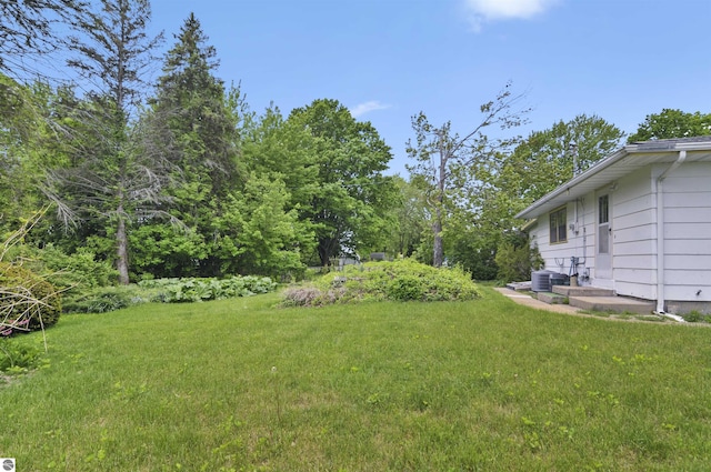 611 Sunset Ln, Cadillac, MI 49601 - view of green lawn