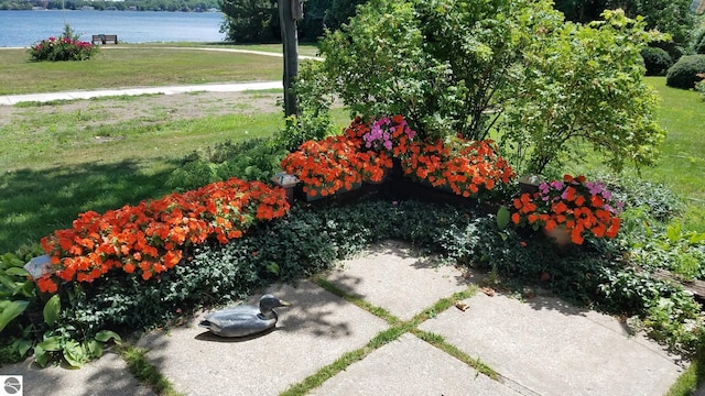 611 Sunset Ln, Cadillac, MI 49601 - view of green lawn featuring a water view