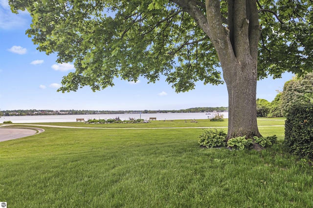 611 Sunset Ln, Cadillac, MI 49601 - view of grassy yard featuring a water view