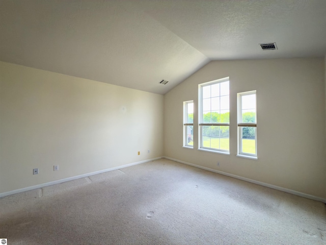 318 Red Maple Ln, Shepherd, MI 48883 - unfurnished room with light colored carpet and vaulted ceiling