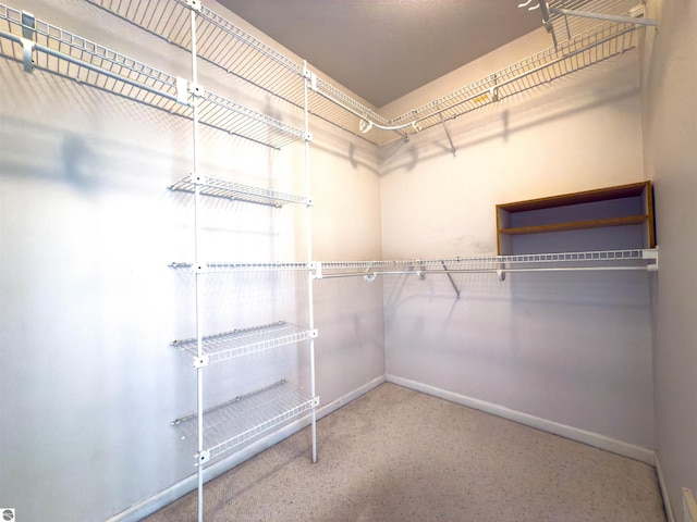 318 Red Maple Ln, Shepherd, MI 48883 - view of spacious closet