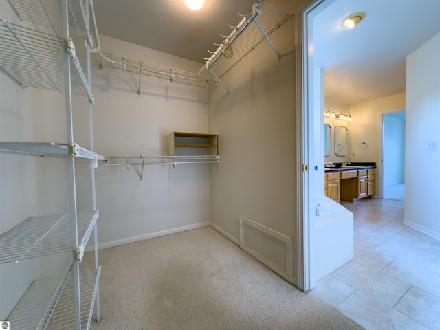 318 Red Maple Ln, Shepherd, MI 48883 - view of spacious closet