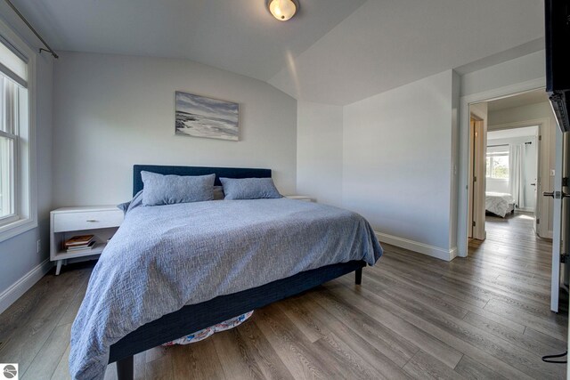 982 Lake Ridge Dr Unit 10, Traverse City, MI 49684 - bedroom featuring wood finished floors and lofted ceiling