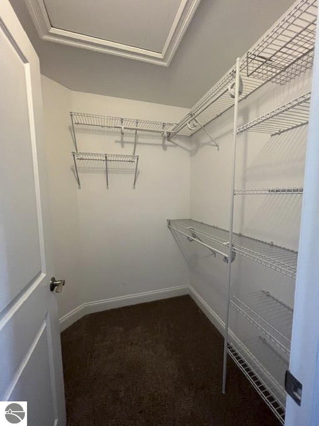 982 Lake Ridge Dr Unit 10, Traverse City, MI 49684 - spacious closet with dark colored carpet