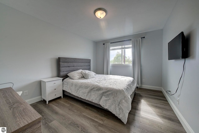 982 Lake Ridge Dr Unit 10, Traverse City, MI 49684 - bedroom with dark wood-style floors