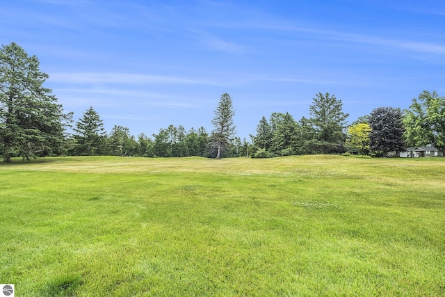 6022 Holt Rd Unit 2, Williamsburg, MI 49690 - view of green lawn