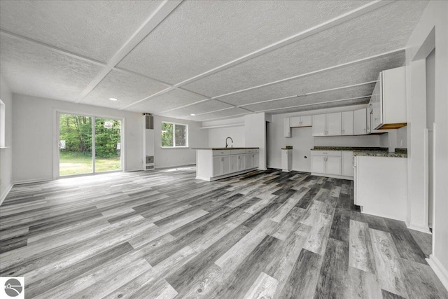 3594 Channel Rd, Hale, MI 48739 - unfurnished living room featuring wood finished floors and a textured ceiling