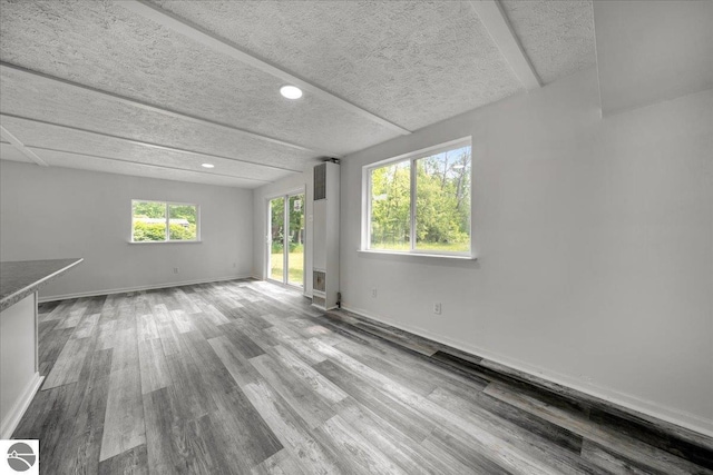 3594 Channel Rd, Hale, MI 48739 - unfurnished room featuring wood finished floors, a textured ceiling, and recessed lighting
