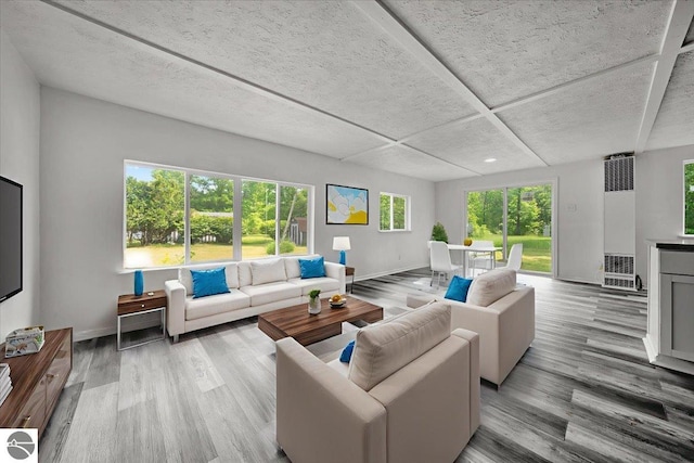 3594 Channel Rd, Hale, MI 48739 - living area with wood finished floors and a heating unit