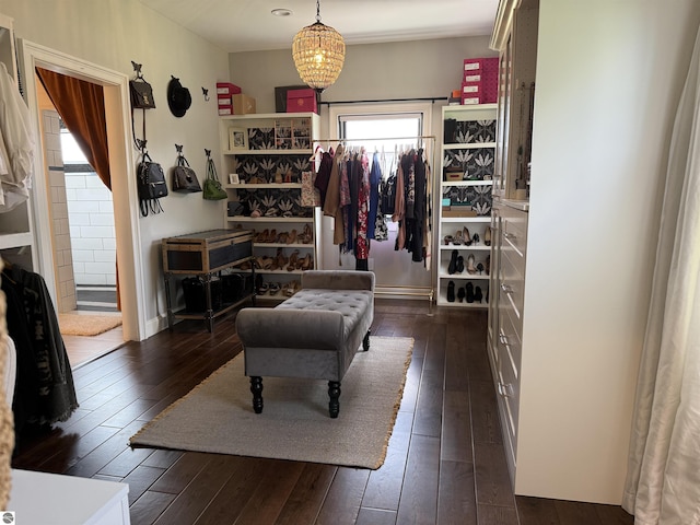 777 Stoneridge Dr, Mount Pleasant, MI 48858 - walk in closet featuring dark wood-style flooring and a chandelier