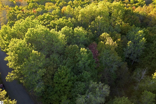 V/L Springdale, Elmira, MI 49730