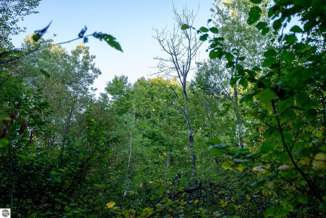 V/L Springdale, Elmira, MI 49730