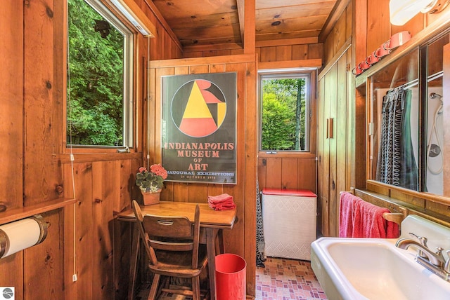 7822 W Welch Rd, Empire, MI 49630 - bathroom with wood walls and wood ceiling