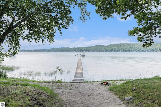 7822 W Welch Rd, Empire, MI 49630 - water view with a forest and a boat dock