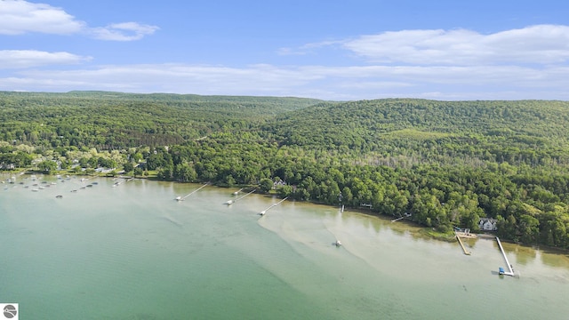 7822 W Welch Rd, Empire, MI 49630 - bird's eye view of a large body of water
