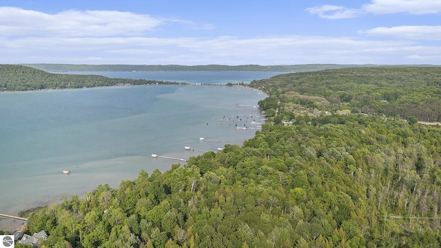 7822 W Welch Rd, Empire, MI 49630 - water view featuring a forest