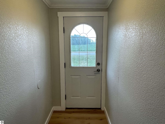 702 N Grafton Ave, Alma, MI 48801 - doorway with wood finished floors, a textured wall, and ornamental molding