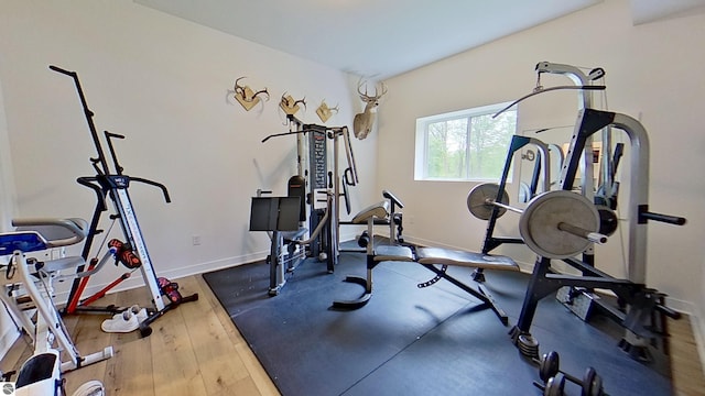 84 9 Mile Rd NW, Comstock Park, MI 49321 - exercise room with wood finished floors and baseboards