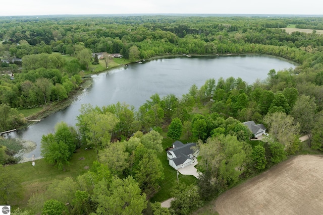84 9 Mile Rd NW, Comstock Park, MI 49321 - aerial view of a nearby body of water