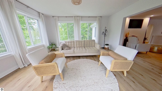 84 9 Mile Rd NW, Comstock Park, MI 49321 - living area with light wood-style flooring