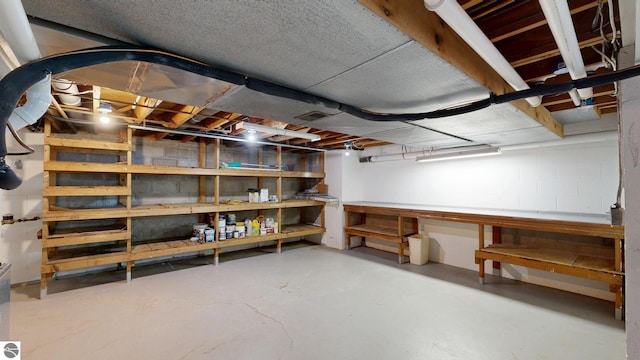 1519 Ridge Rdg, Mount Pleasant, MI 48858 - view of unfinished below grade area