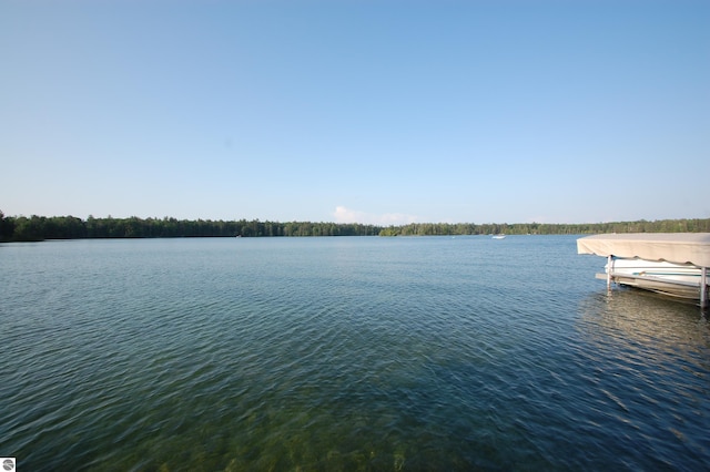 4038 Ogemaw Shores Dr, West Branch, MI 48661 - water view with a boat dock