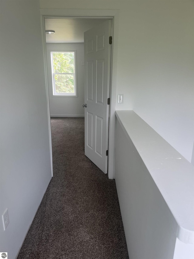 2507 N Lincoln Rd, Rosebush, MI 48878 - corridor with dark carpet