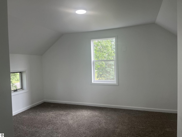2507 N Lincoln Rd, Rosebush, MI 48878 - additional living space featuring lofted ceiling and dark carpet