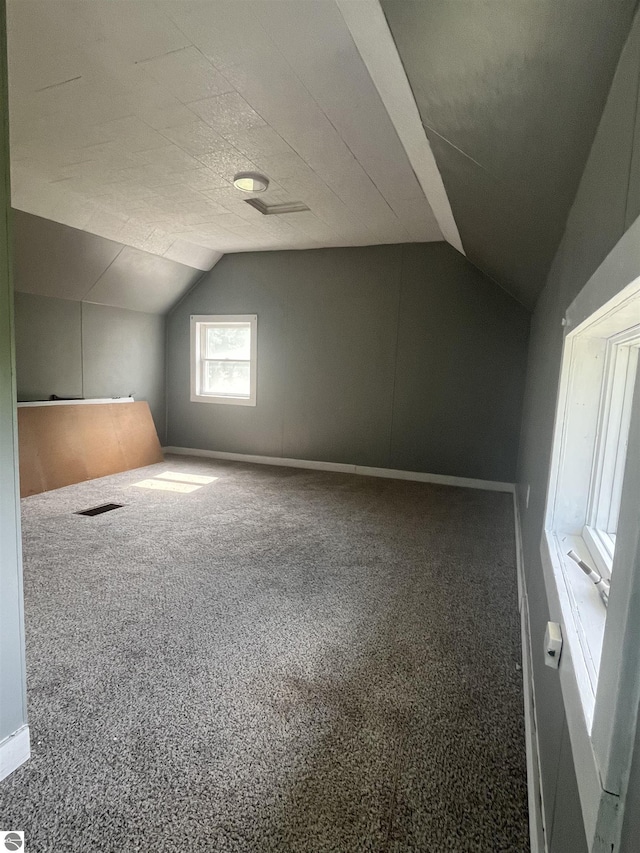 2507 N Lincoln Rd, Rosebush, MI 48878 - bonus room featuring vaulted ceiling and carpet