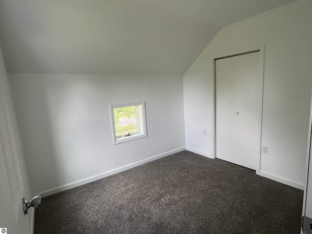 2507 N Lincoln Rd, Rosebush, MI 48878 - bonus room with lofted ceiling and dark carpet