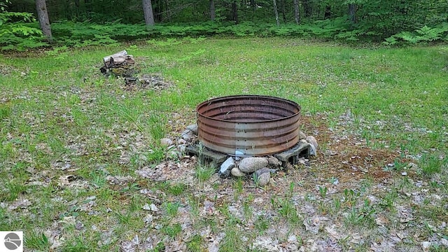 1947 NE Anita Rd, Kalkaska, MI 49646 - exterior view of a fire pit