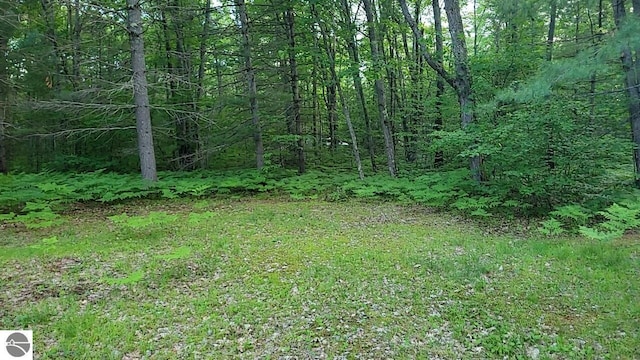 1947 NE Anita Rd, Kalkaska, MI 49646 - view of tree filled area