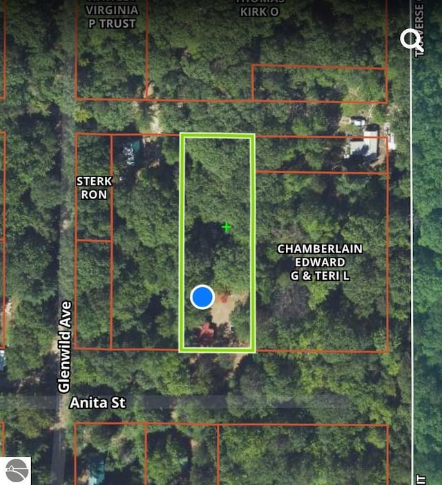 1947 NE Anita Rd, Kalkaska, MI 49646 - aerial view of property's location