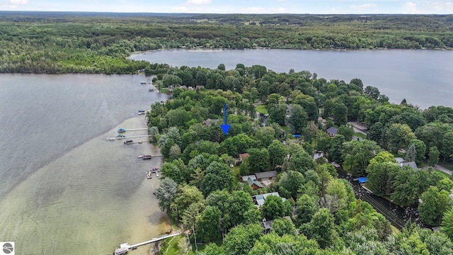 7786 N Shore Ct, Grawn, MI 49637 - drone / aerial view of a heavily wooded area and a nearby body of water