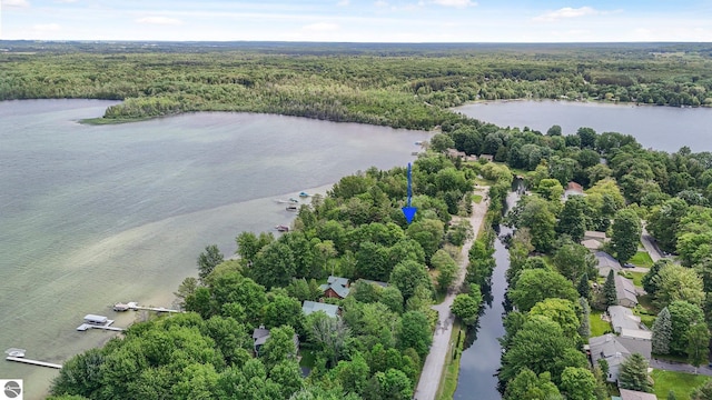 7786 N Shore Ct, Grawn, MI 49637 - drone / aerial view of a large body of water
